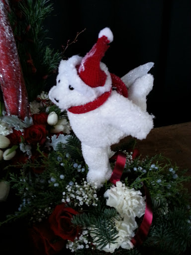 Florist «Cool Florist and Gifts», reviews and photos, 2968 CA-49 i, Cool, CA 95614, USA