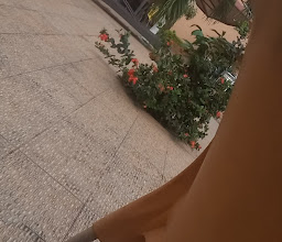 Regina Suites Osogbo photo