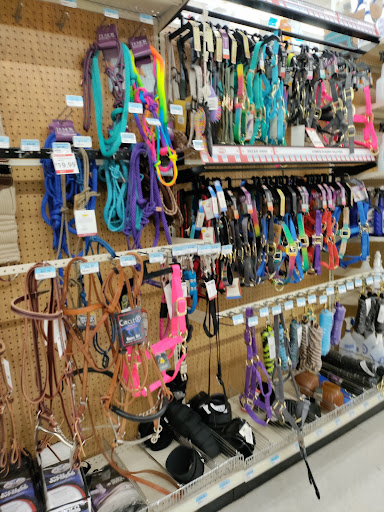 Home Improvement Store «Tractor Supply Co.», reviews and photos, 11250 Preston Hwy, Louisville, KY 40229, USA