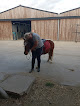 Ferme Equestre de la Rose des Vents Saint-Jans-Cappel