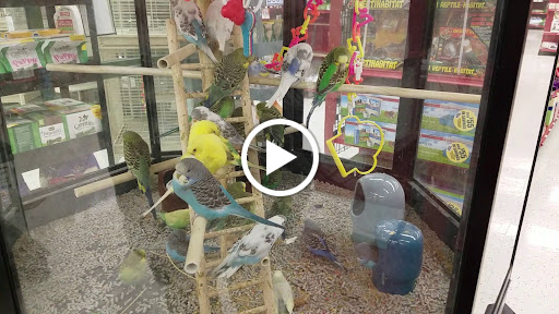 Pet Supply Store «Petco Animal Supplies», reviews and photos, 253 Burgess Rd, Harrisonburg, VA 22801, USA