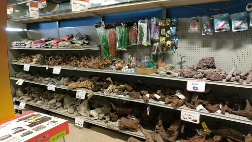 Pet Store «The Pet Shop», reviews and photos, 2235 S Power Rd #107, Mesa, AZ 85209, USA