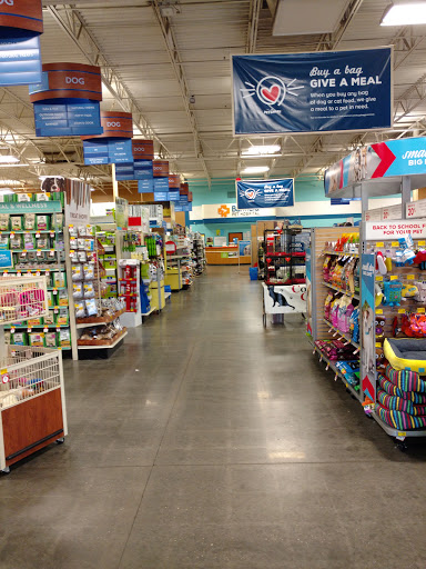 Pet Supply Store «PetSmart», reviews and photos, 2920 Little Rd, Trinity, FL 34655, USA