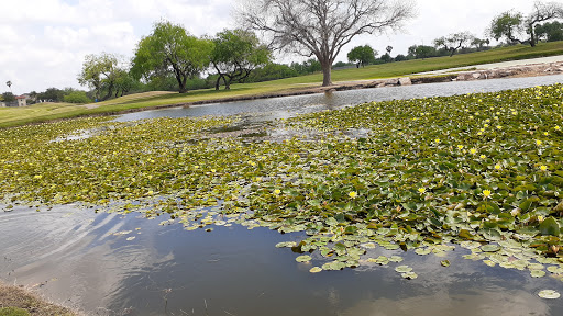 Golf Course «Harlingen Municipal Golf Course», reviews and photos, 2640 Golf Course Dr, Harlingen, TX 78550, USA