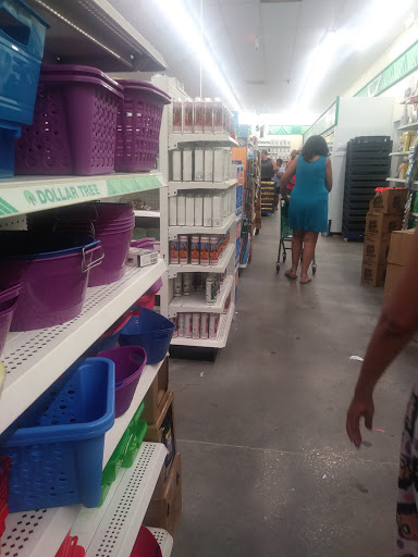 Dollar Store «Dollar Tree», reviews and photos, 2135 Howland Blvd #110, Deltona, FL 32738, USA