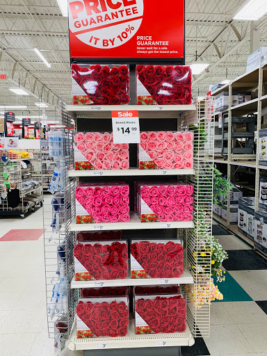 Craft Store «Michaels», reviews and photos, 1261 Niagara Falls Blvd, Amherst, NY 14226, USA