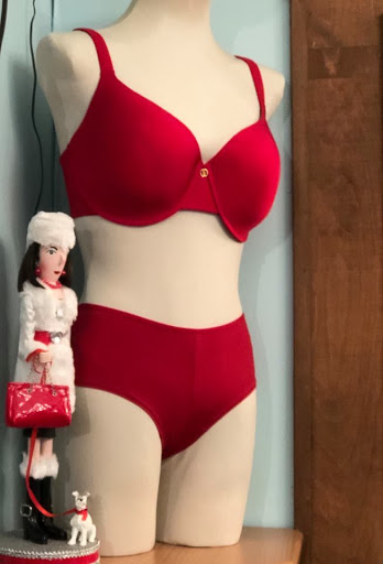 Lingerie Store «Contours Lingerie», reviews and photos, 6102 Mineral Point Rd, Madison, WI 53705, USA