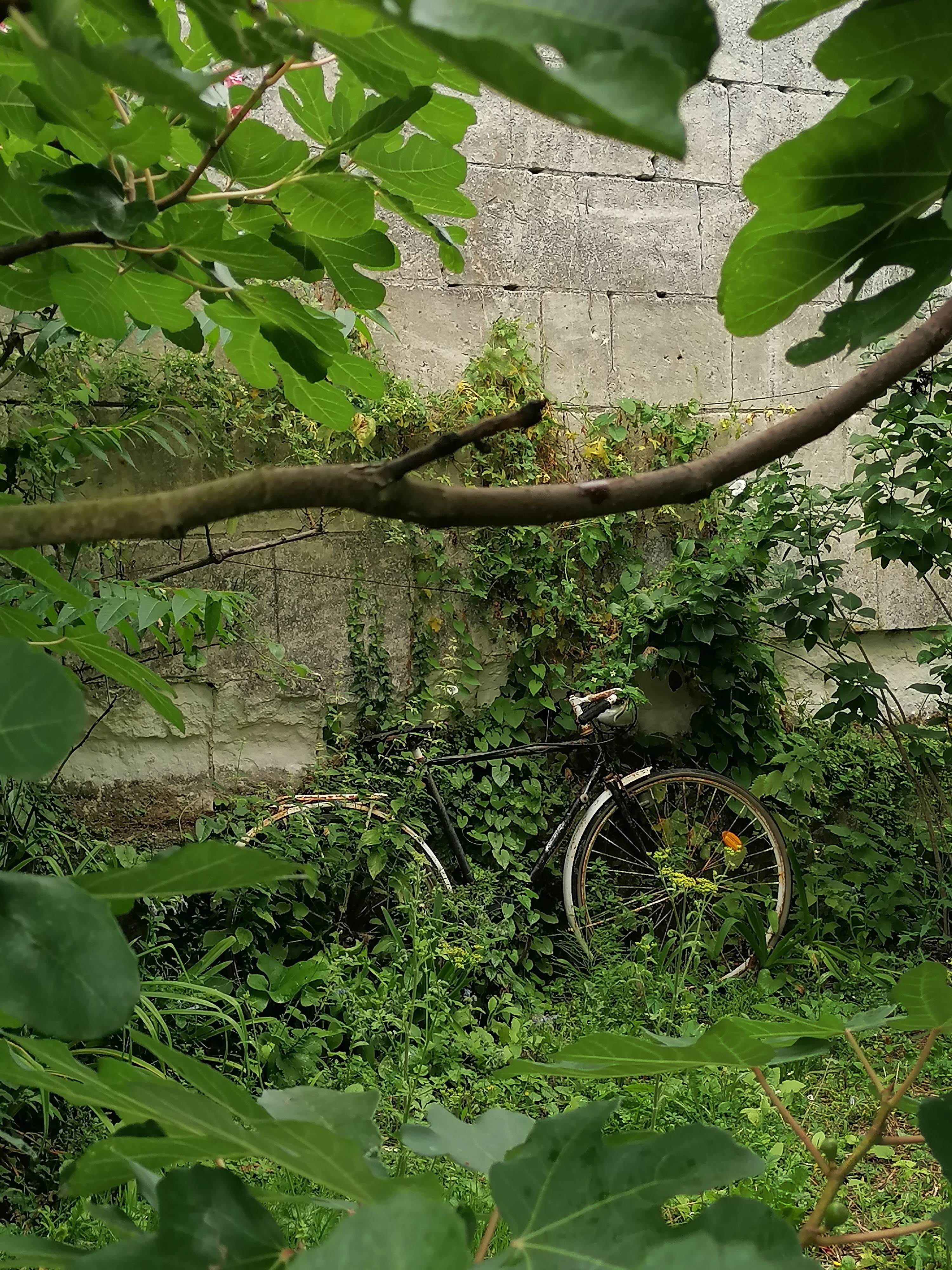Photo n° 20 de l'avis de Matthieu.I fait le 05/08/2023 à 22:17