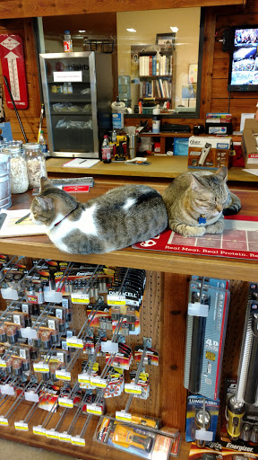 Animal Feed Store «Argyle Feed Store», reviews and photos, 1842 FM407, Argyle, TX 76226, USA