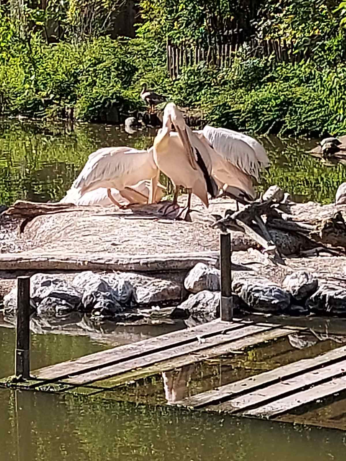 Photo n° 6 de l'avis de EG7. fait le 29/05/2023 à 10:08