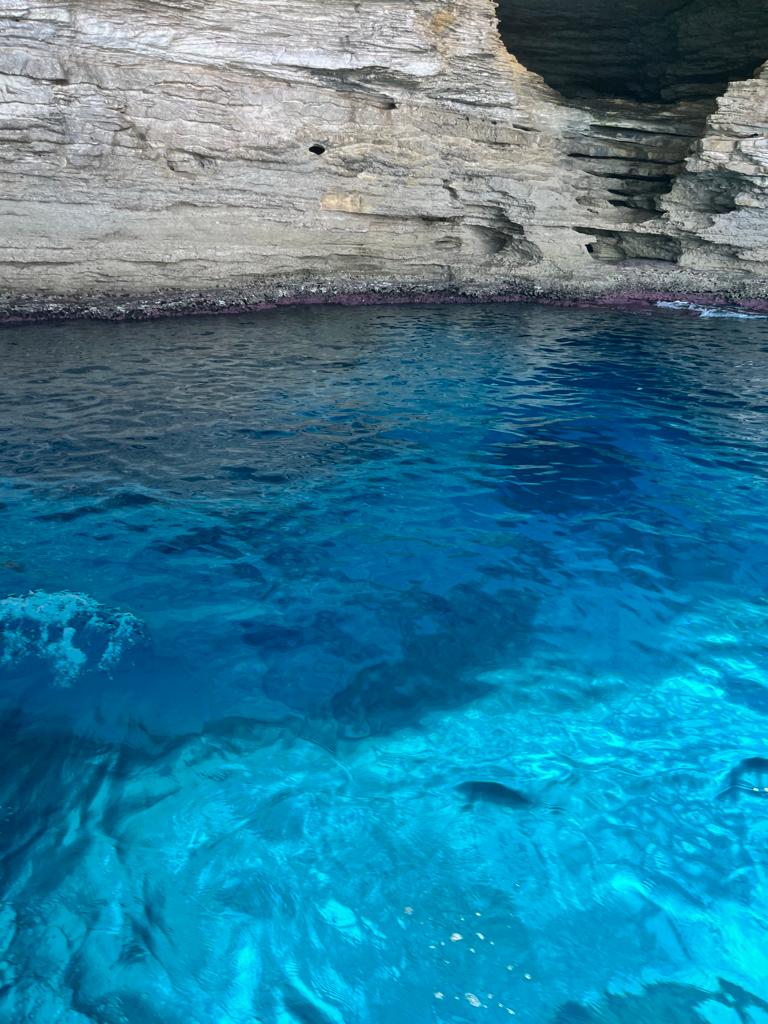 Photo n° 21 de l'avis de DESOLI.l fait le 12/09/2022 à 14:52
