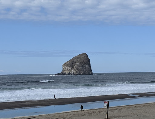 Horse Boarding Stable «Green Acres Beach & Trail Rides», reviews and photos, 5985 Pacific Ave, Cloverdale, OR 97112, USA