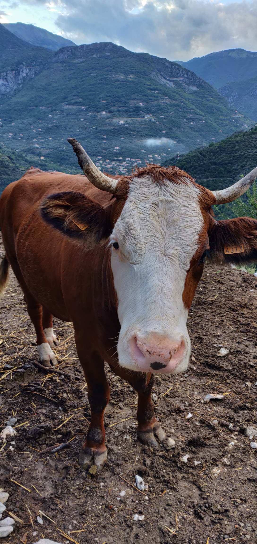 Photo n° 1 de l'avis de charlotte.a fait le 02/09/2018 à 15:41