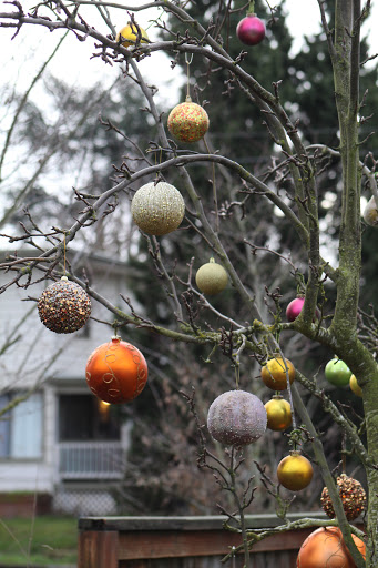 Auto Repair Shop «Meineke Car Care Center», reviews and photos, 3635 SE 82nd Ave, Portland, OR 97266, USA