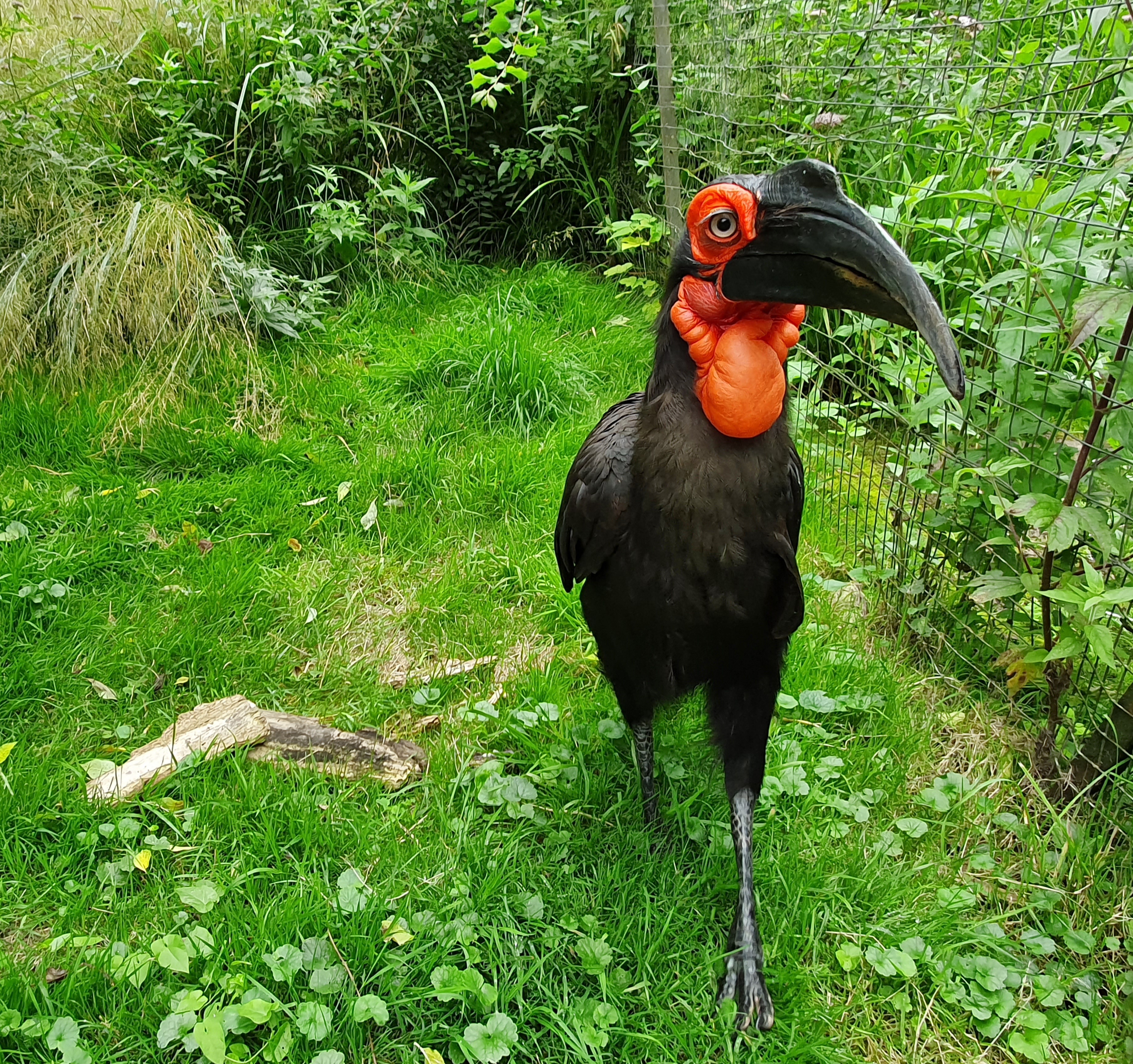 Photo n° 4 de l'avis de joel.e fait le 20/08/2021 à 20:39