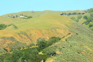 Sunol Regional Wilderness image