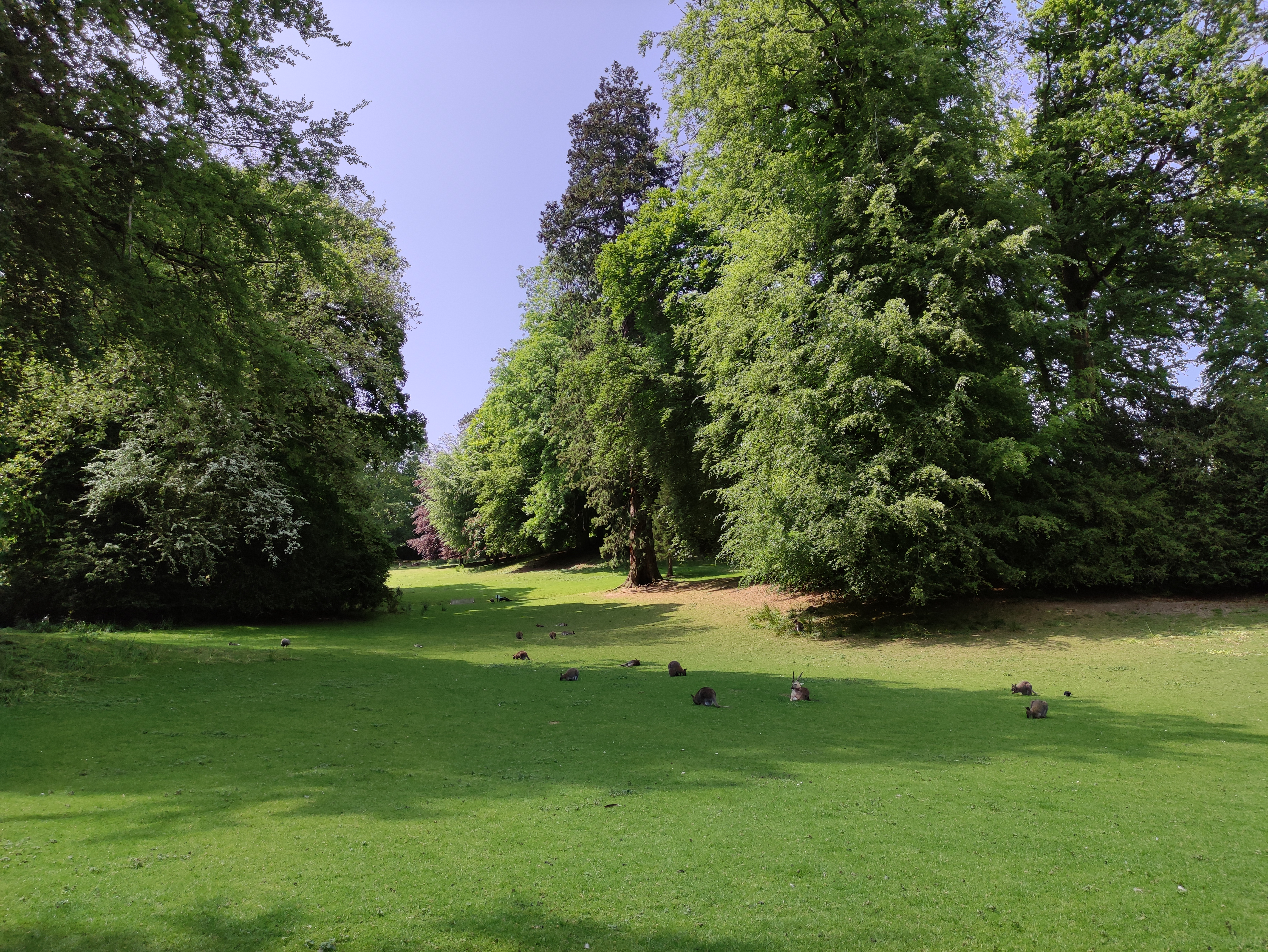 Photo n° 3 de l'avis de arthur.a fait le 23/05/2023 à 10:29