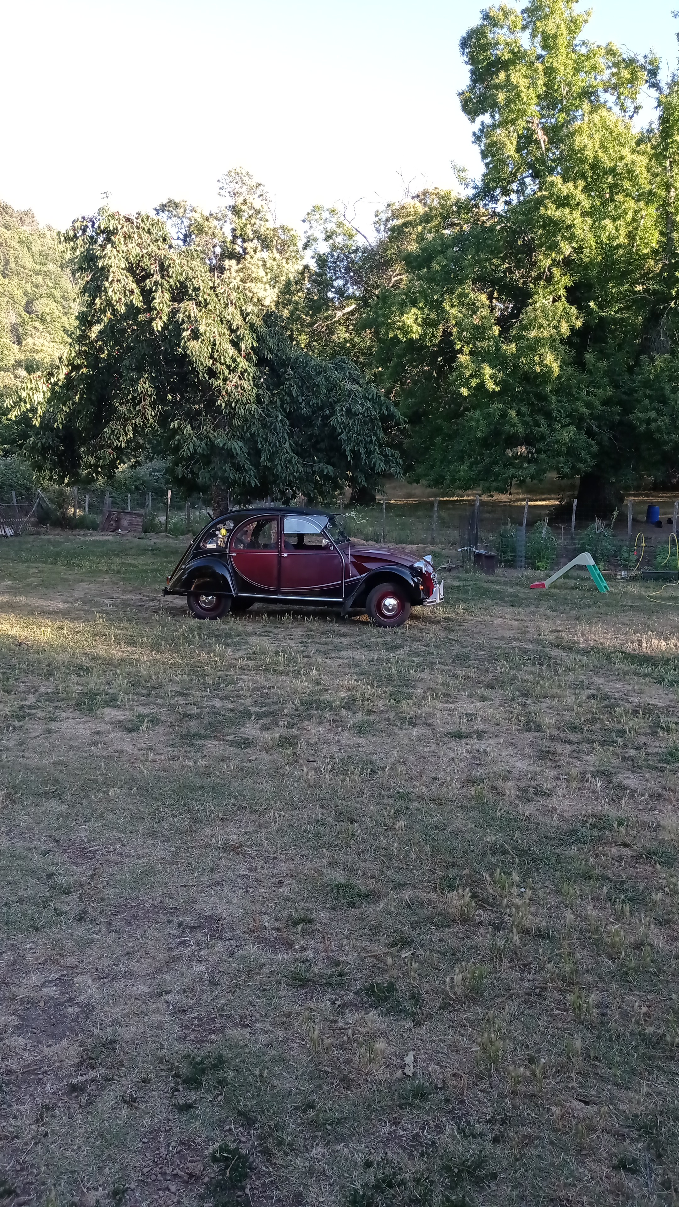 Photo n° 3 de l'avis de Christine.a fait le 28/07/2022 à 07:04