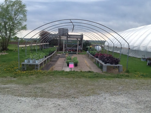 Produce Market «Mairet Farms», reviews and photos, 4707 U.S Hwy 61, Muscatine, IA 52761, USA