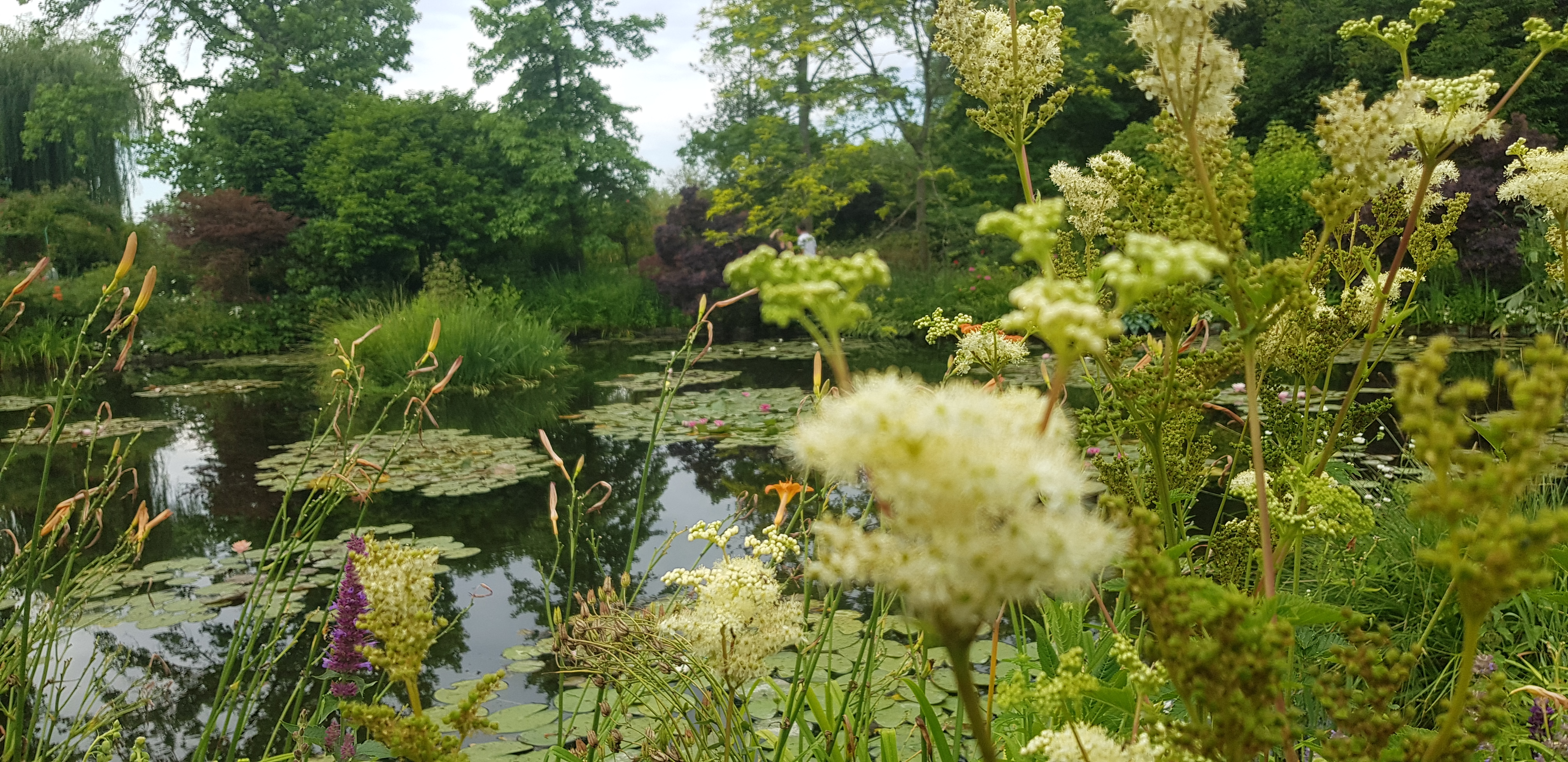 Photo n° 29 de l'avis de Jean-Luc.I fait le 08/07/2023 à 13:46