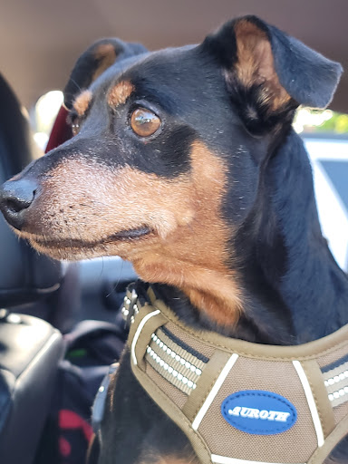 Park «Liberty Park and Fitness Center», reviews and photos, 19211 Studebaker Rd, Cerritos, CA 90703, USA