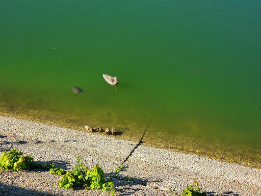 Park «Silver Lake Park», reviews and photos, Silver Lake Park Rd, Staten Island, NY 10301, USA