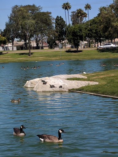 Park «Greer Park», reviews and photos, 6900 W McFadden Ave, Huntington Beach, CA 92647, USA