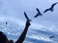 River Flow Holistic - Photo 9 - Car repair in Charlotte, NC, Rock Hill