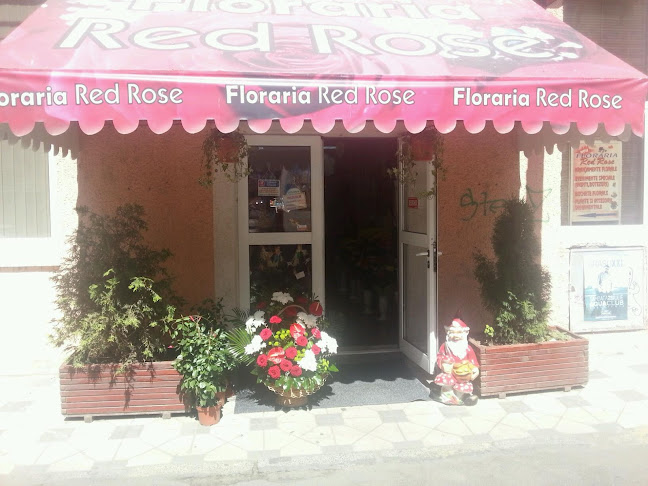 Opinii despre Red Rose în <nil> - Florărie