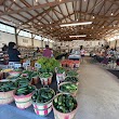 Palombo Farms Market