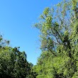 Bridge on West Orange Trail