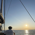 Photo n° 4 de l'avis de Robin.r fait le 08/07/2023 à 16:43 pour Bateau de Promenade : Catamaran Le Providence à Le Grau-du-Roi
