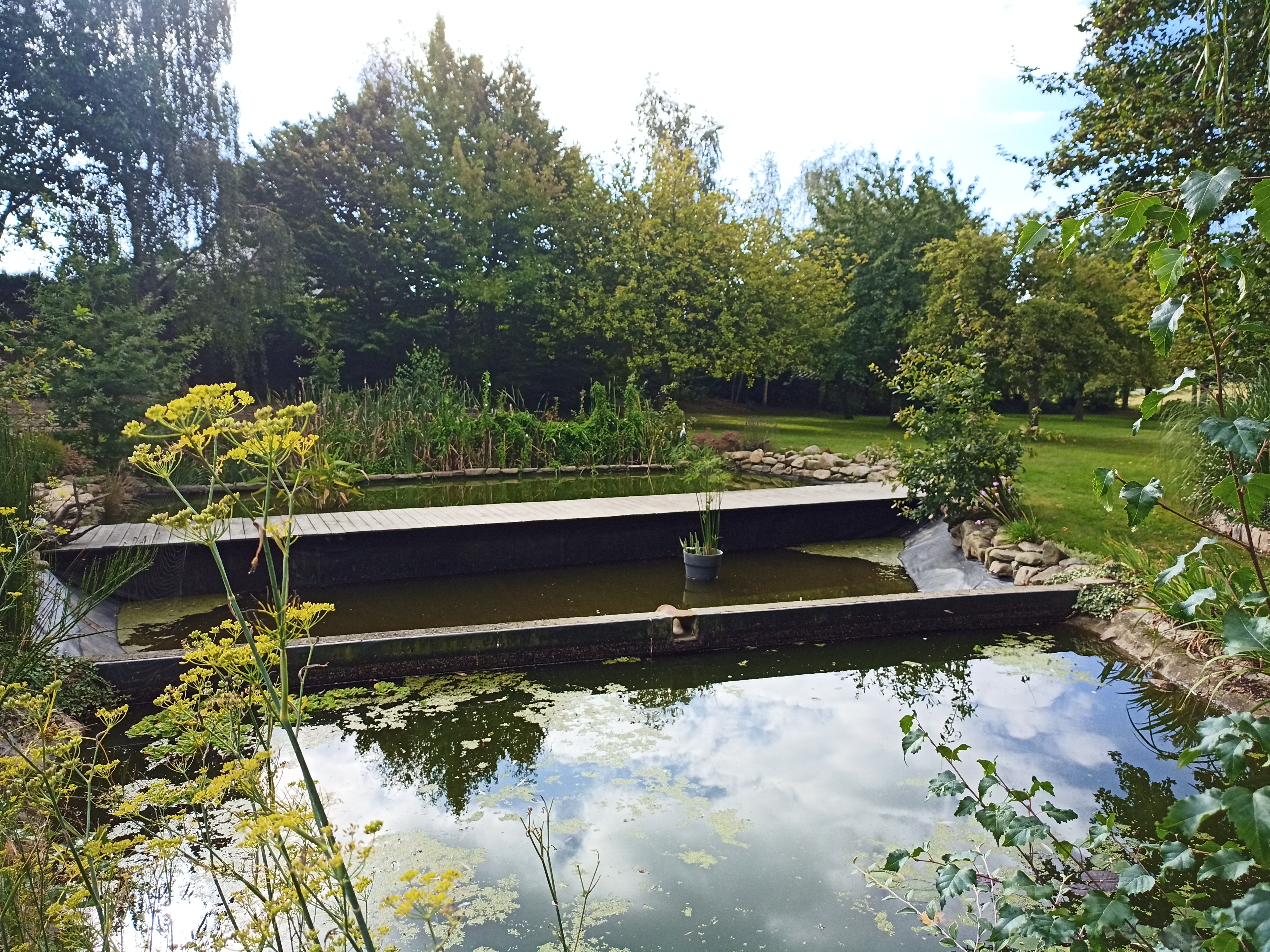 Photo n° 7 de l'avis de Geneviève.a fait le 16/09/2020 à 09:45