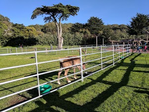 San Francisco Zoo - photo 50