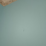 Photo n°1 de l'avis de Bastien. fait le 10/04/2024 à 17:55 sur le  Duchessa Isabella Collection by Uappala Hotels à Ferrara