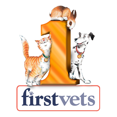 Comments and reviews of firstvets Bearsden