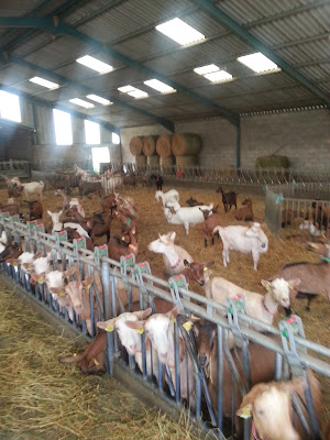 Earl la Ferme de Villars à Noyant-d'Allier