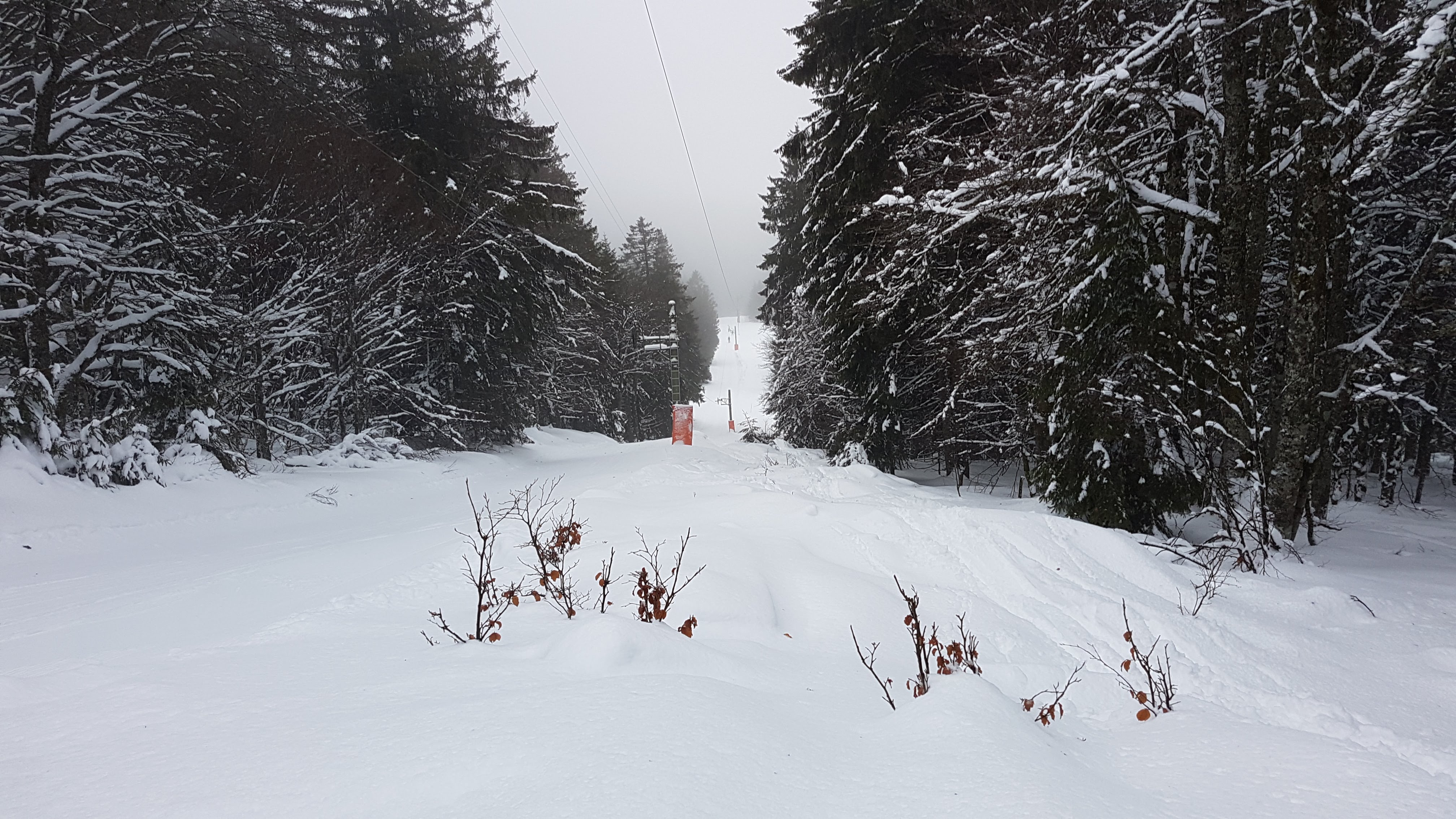 Photo n° 1 de l'avis de Jonathan.a fait le 18/02/2019 à 17:11