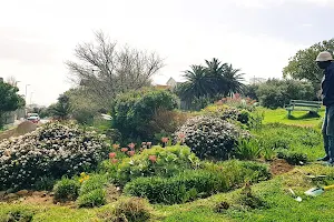 Vredehoek Eco Park image