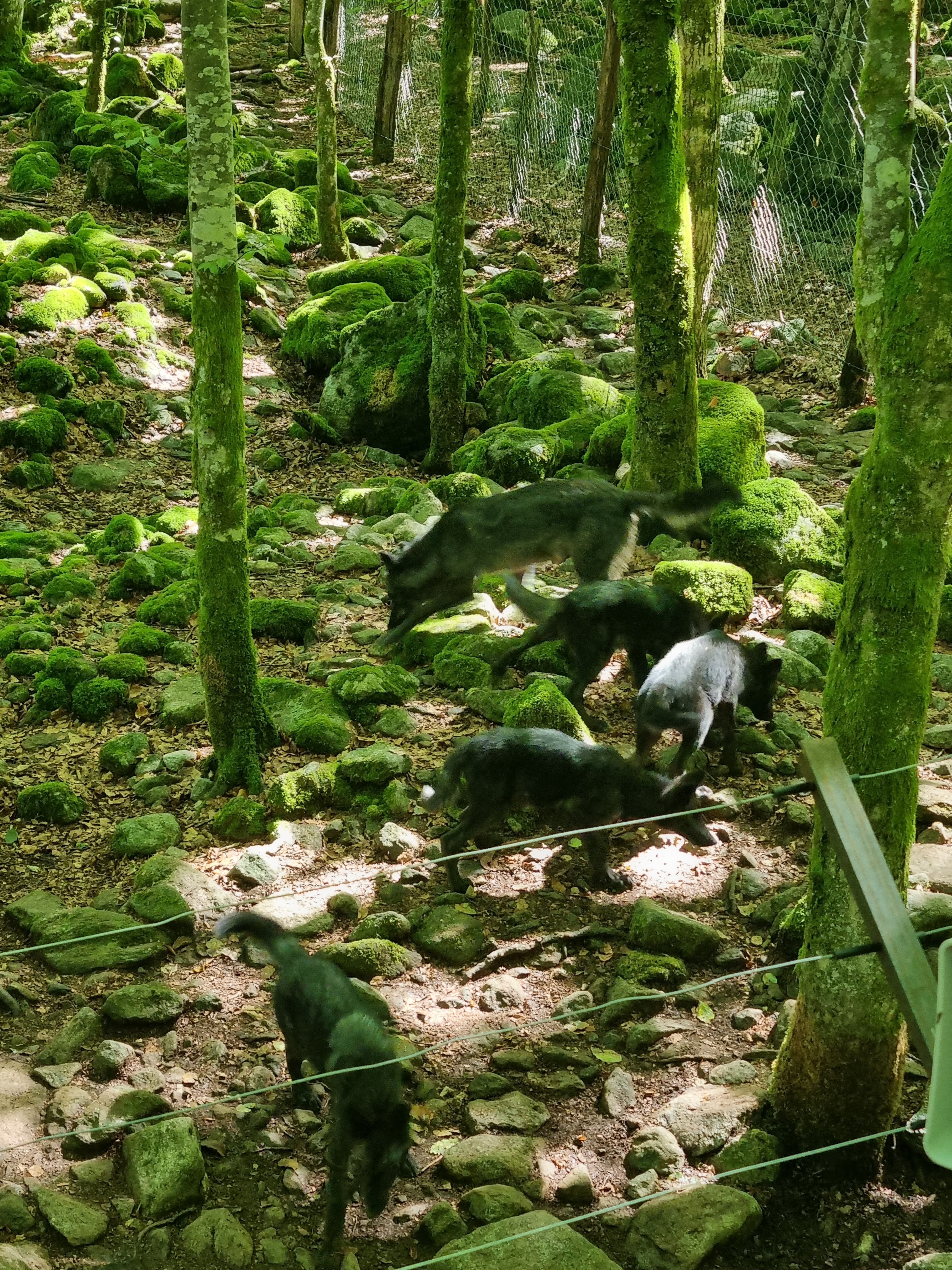 Photo n° 5 de l'avis de Laetitia.a fait le 27/08/2022 à 15:00