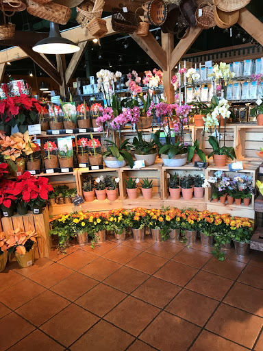 Grocery Store «The Fresh Market», reviews and photos, 2490 E 146th St, Carmel, IN 46033, USA