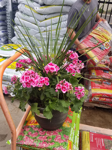 Home Improvement Store «The Home Depot», reviews and photos, 5500 AZ-69, Prescott Valley, AZ 86314, USA