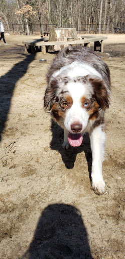 Dog Park «Andover dog park», reviews and photos, 288 High Plain Rd, Andover, MA 01810, USA