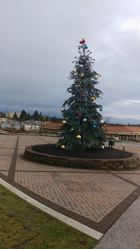 Park «Town Square Park», reviews and photos, 31600 Pete von Reichbauer Way South, Federal Way, WA 98003, USA