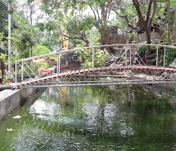 Wat Khao Krailart photo