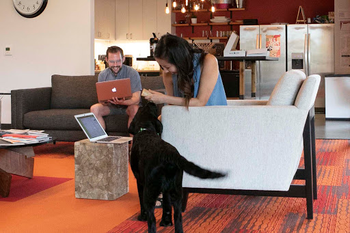 Sofa Store «Perch Furniture», reviews and photos, 923 NW 10th Ave, Portland, OR 97209, USA