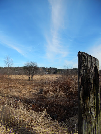 Bolton Flats Wildlife Management Area