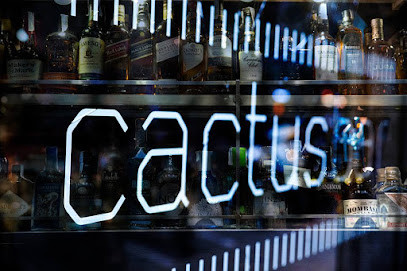negocio Cactus Gin-Bar