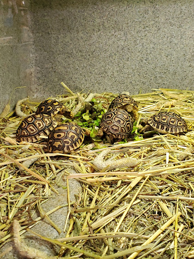 Pet Supply Store «Pet Bazaar», reviews and photos, 490 FL-436, Casselberry, FL 32707, USA