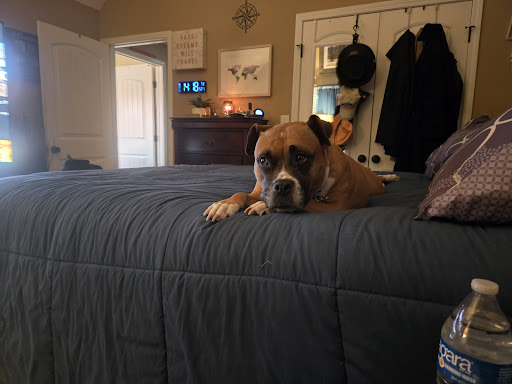 Crowleys Ridge Veterinary Clinic image